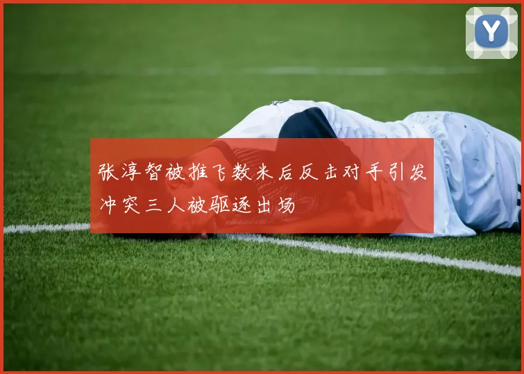 张淳智被推飞数米后反击对手引发冲突三人被驱逐出场