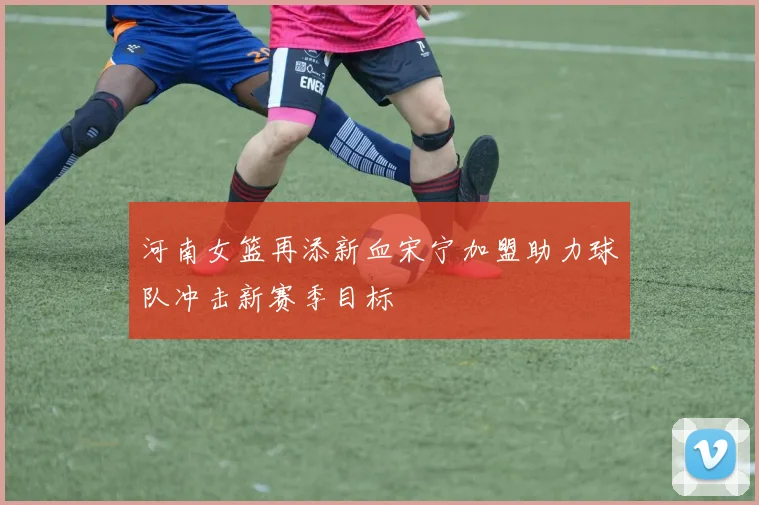 河南女篮再添新血宋宁加盟助力球队冲击新赛季目标