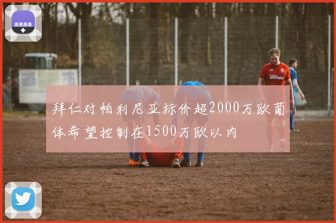 拜仁对帕利尼亚标价超2000万欧葡体希望控制在1500万欧以内